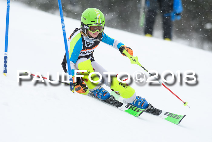 4. Ziener Cup WF, 25.02.2018