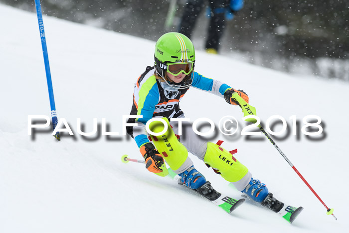 4. Ziener Cup WF, 25.02.2018