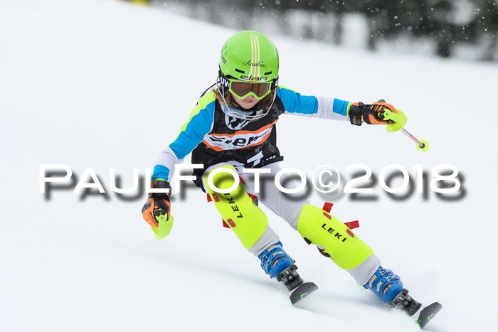 4. Ziener Cup WF, 25.02.2018