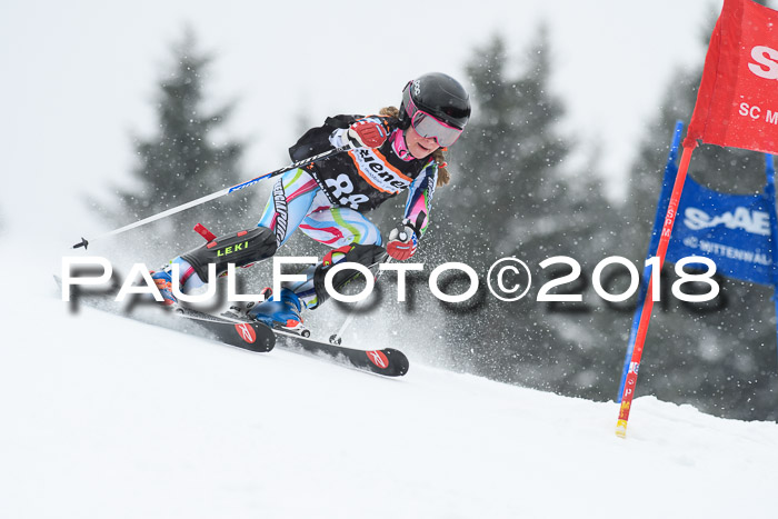 4. Ziener Cup WF, 25.02.2018