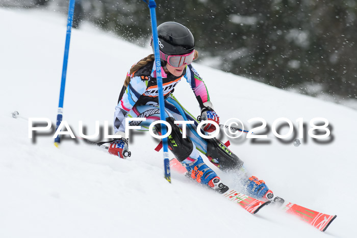 4. Ziener Cup WF, 25.02.2018