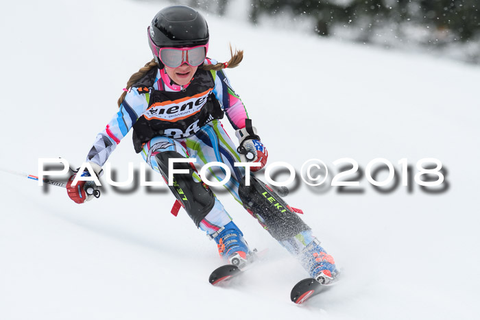 4. Ziener Cup WF, 25.02.2018