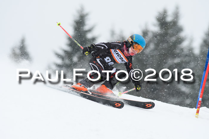 4. Ziener Cup WF, 25.02.2018