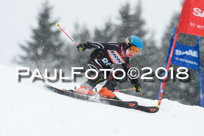 4. Ziener Cup WF, 25.02.2018
