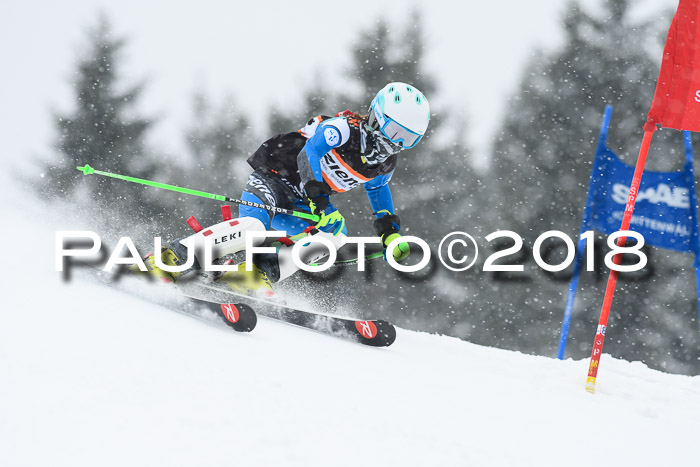4. Ziener Cup WF, 25.02.2018