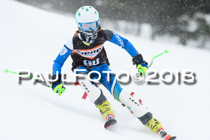4. Ziener Cup WF, 25.02.2018