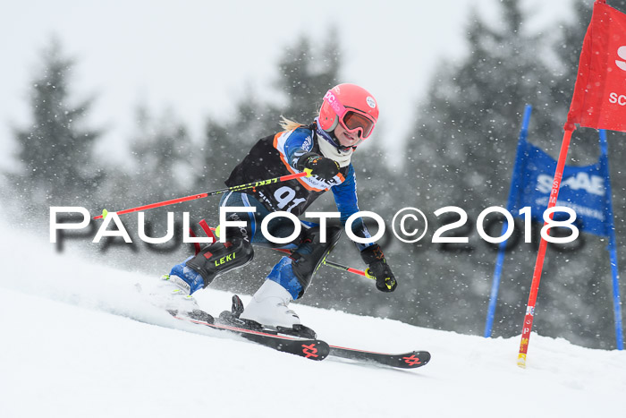 4. Ziener Cup WF, 25.02.2018