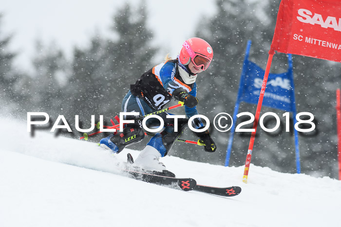 4. Ziener Cup WF, 25.02.2018