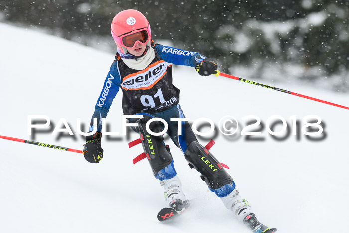 4. Ziener Cup WF, 25.02.2018
