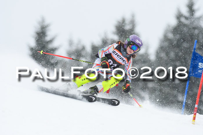 4. Ziener Cup WF, 25.02.2018
