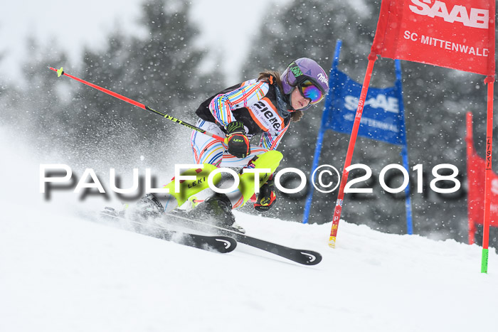4. Ziener Cup WF, 25.02.2018