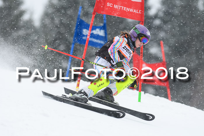 4. Ziener Cup WF, 25.02.2018