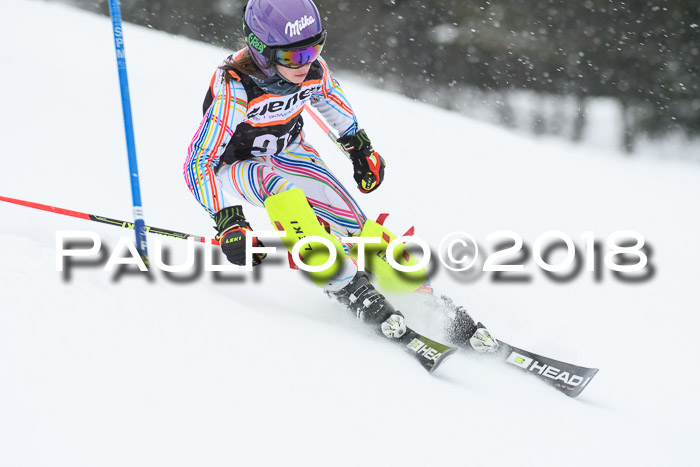 4. Ziener Cup WF, 25.02.2018