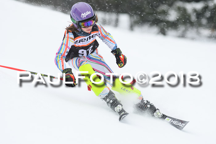 4. Ziener Cup WF, 25.02.2018