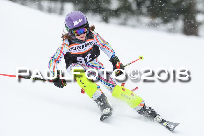 4. Ziener Cup WF, 25.02.2018