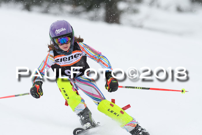 4. Ziener Cup WF, 25.02.2018