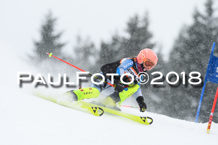4. Ziener Cup WF, 25.02.2018