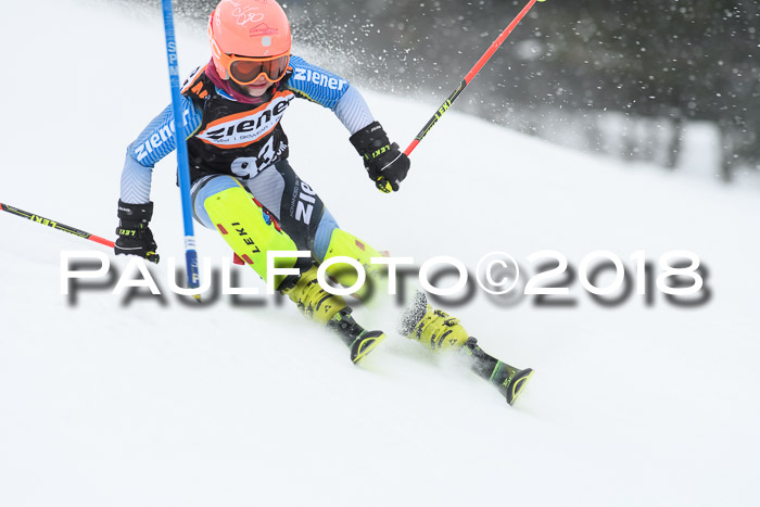 4. Ziener Cup WF, 25.02.2018