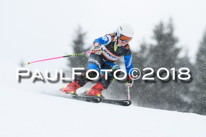 4. Ziener Cup WF, 25.02.2018