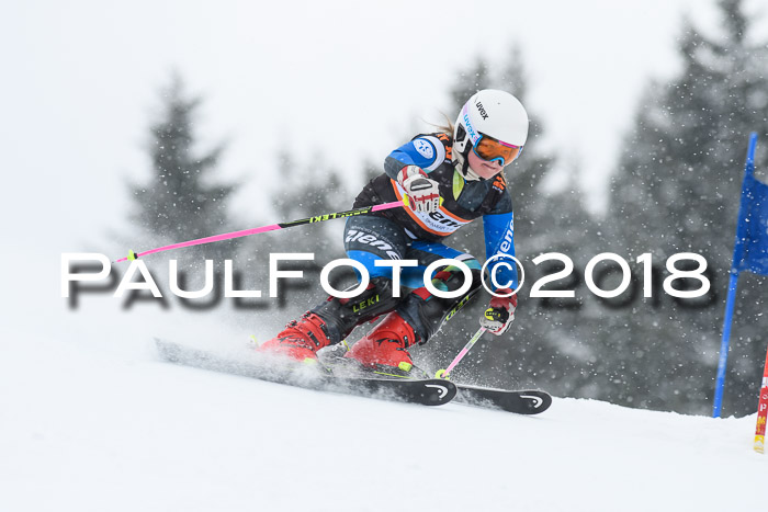 4. Ziener Cup WF, 25.02.2018