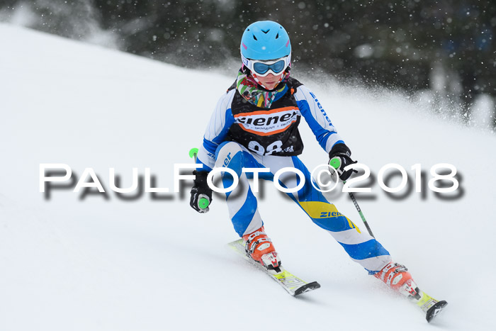 4. Ziener Cup WF, 25.02.2018