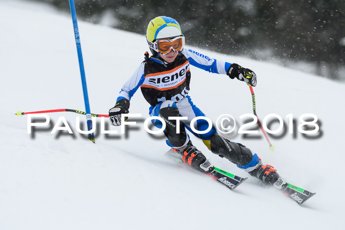 4. Ziener Cup WF, 25.02.2018