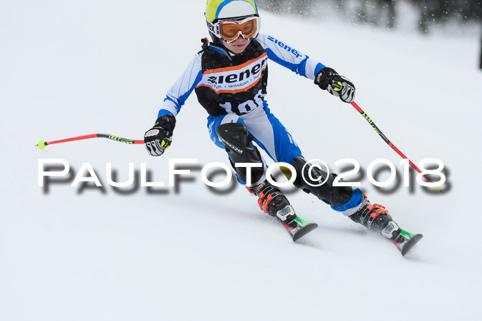 4. Ziener Cup WF, 25.02.2018
