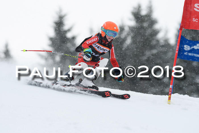 4. Ziener Cup WF, 25.02.2018