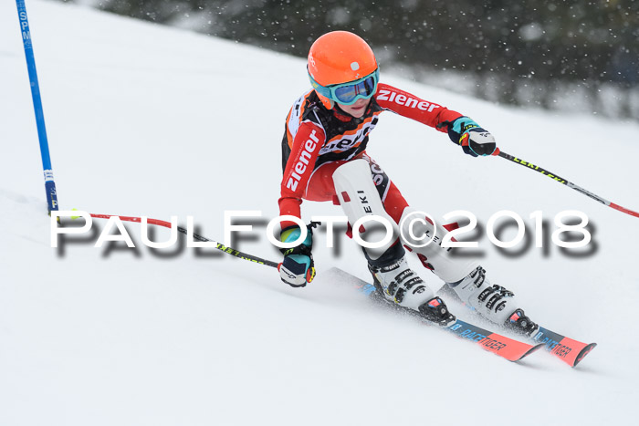 4. Ziener Cup WF, 25.02.2018