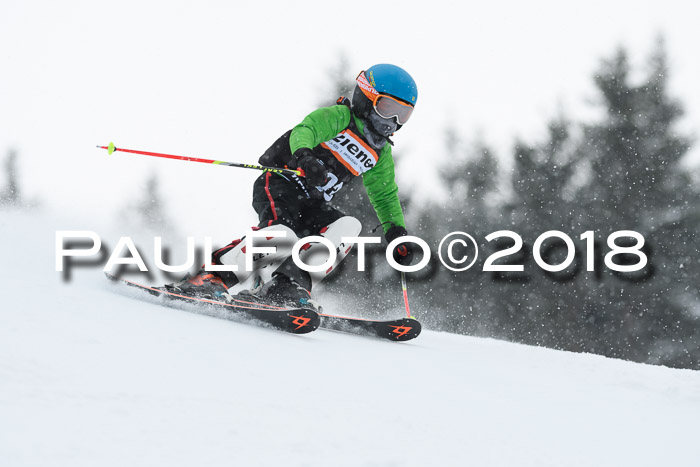 4. Ziener Cup WF, 25.02.2018