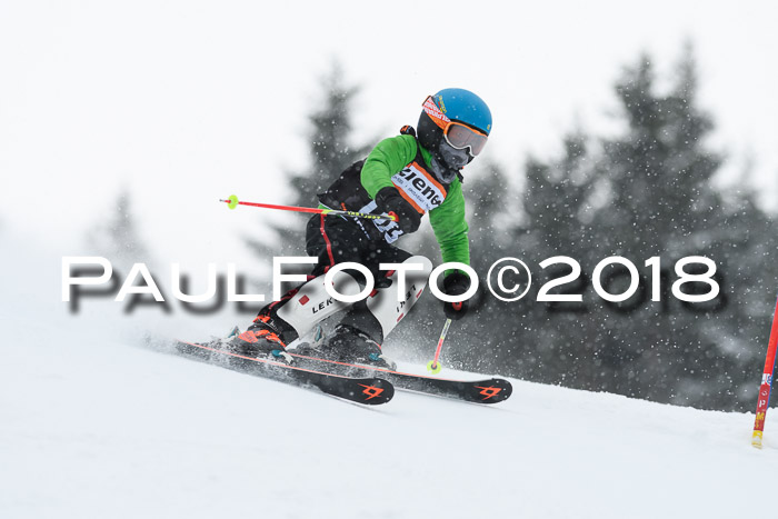 4. Ziener Cup WF, 25.02.2018