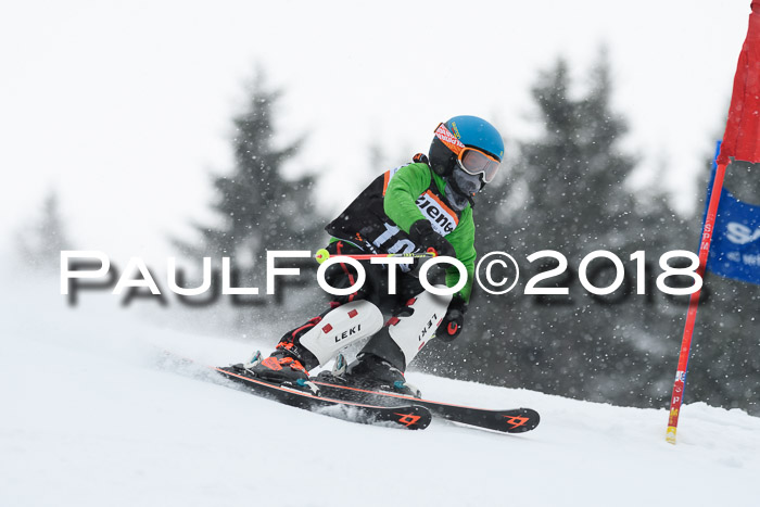 4. Ziener Cup WF, 25.02.2018