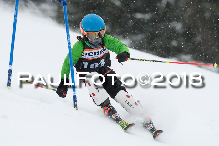 4. Ziener Cup WF, 25.02.2018