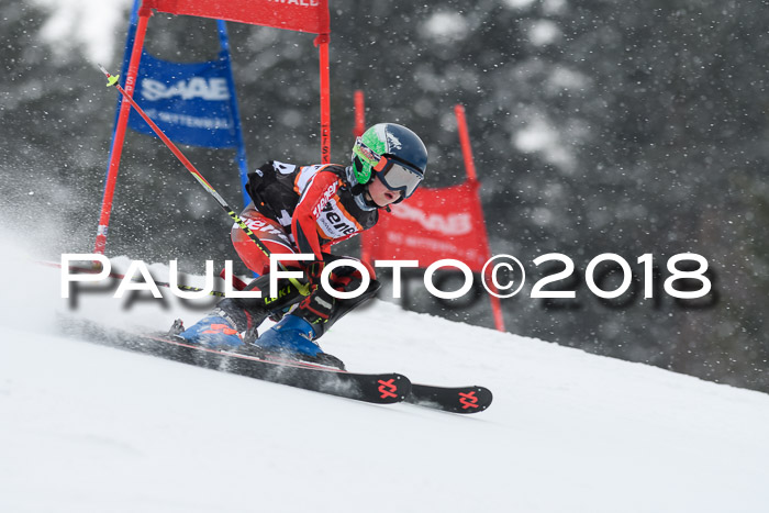 4. Ziener Cup WF, 25.02.2018