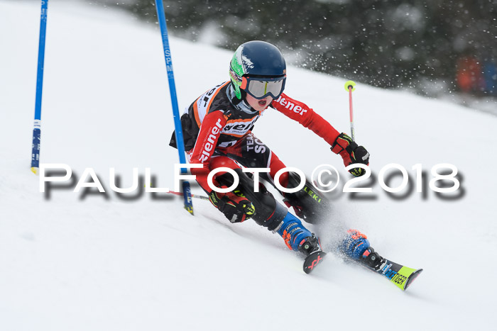 4. Ziener Cup WF, 25.02.2018