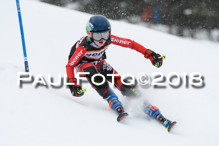 4. Ziener Cup WF, 25.02.2018