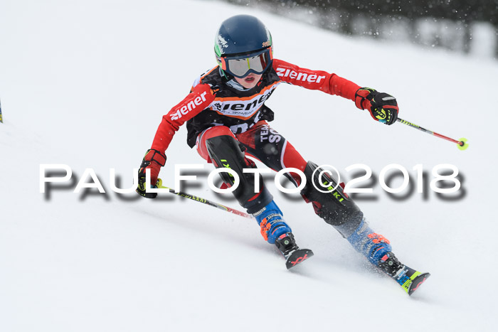 4. Ziener Cup WF, 25.02.2018