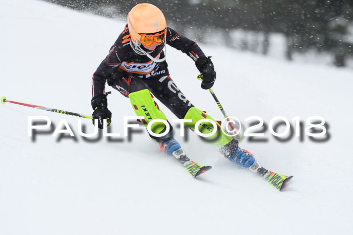 4. Ziener Cup WF, 25.02.2018