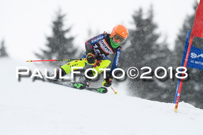 4. Ziener Cup WF, 25.02.2018