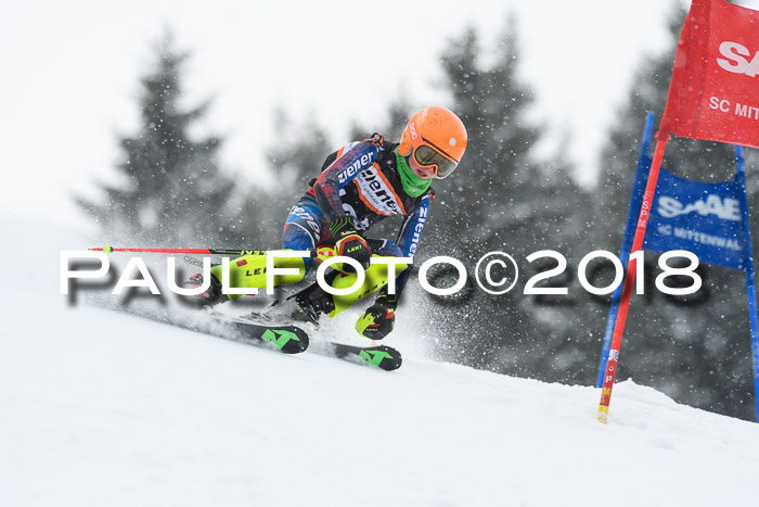 4. Ziener Cup WF, 25.02.2018