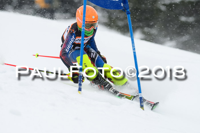 4. Ziener Cup WF, 25.02.2018