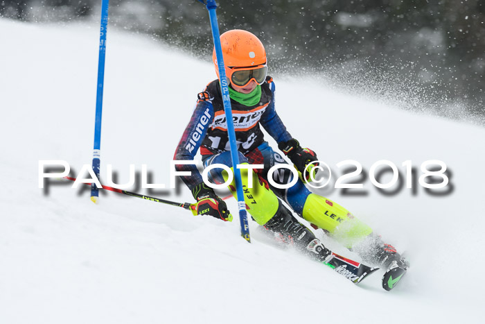 4. Ziener Cup WF, 25.02.2018