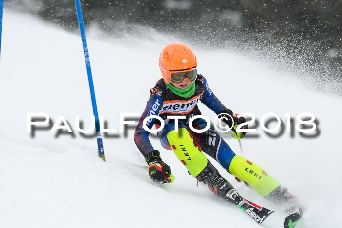 4. Ziener Cup WF, 25.02.2018