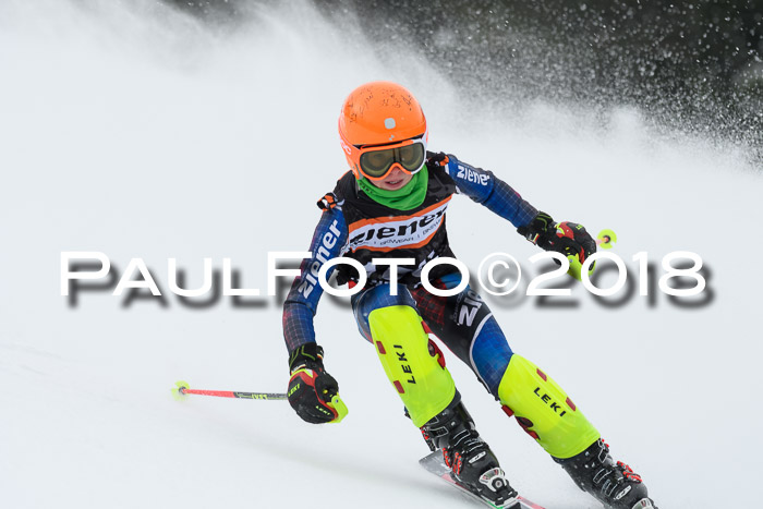 4. Ziener Cup WF, 25.02.2018
