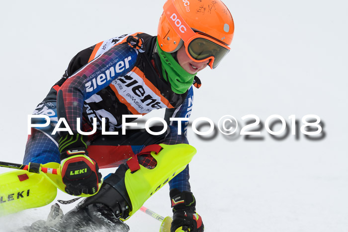 4. Ziener Cup WF, 25.02.2018