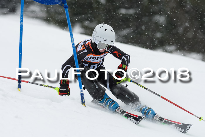 4. Ziener Cup WF, 25.02.2018