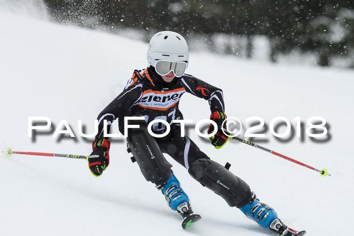 4. Ziener Cup WF, 25.02.2018