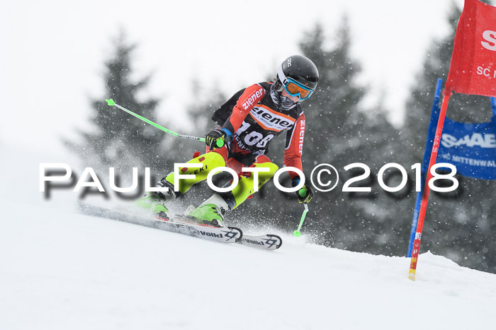 4. Ziener Cup WF, 25.02.2018