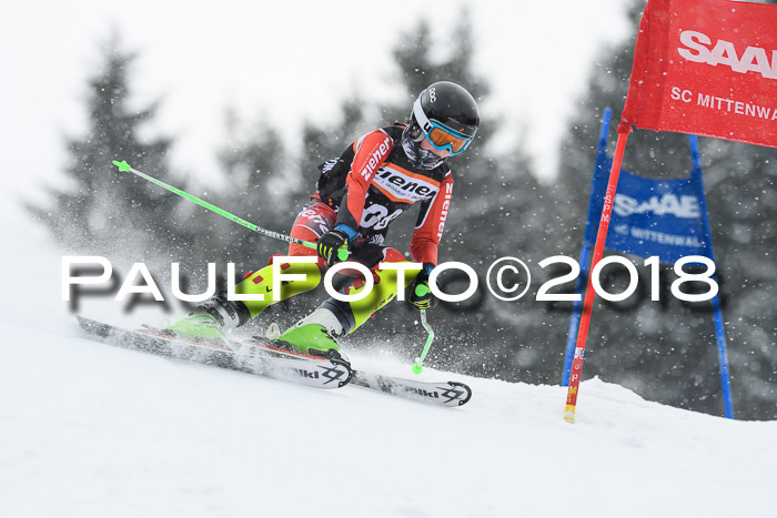 4. Ziener Cup WF, 25.02.2018