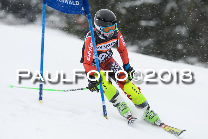 4. Ziener Cup WF, 25.02.2018